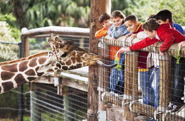 Zoo and Aquarium Insurance